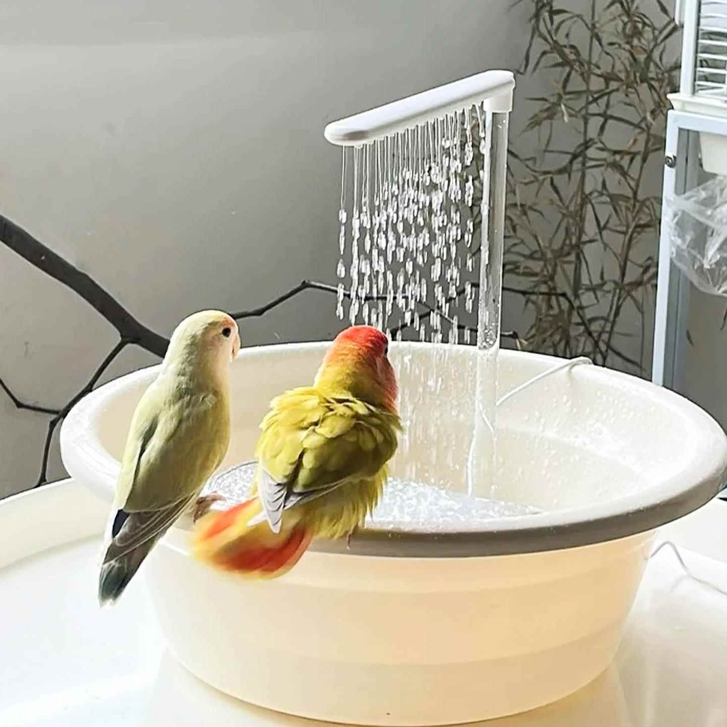 鹦鹉洗澡盆自动循环活水水泵小鸟洗澡神器玄凤牡丹小太阳外置专用