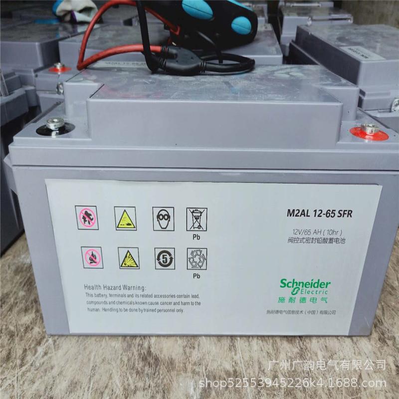 APC铅酸蓄电池M2AL12-65SFR 12v65ah船舶 太阳能储能 照明电池