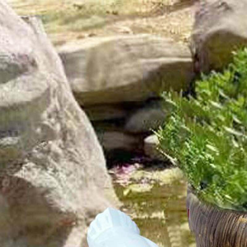鱼缸陶罐流水循环过滤陶瓷摆件水缸石槽水景庭院搭配造景装饰摆件
