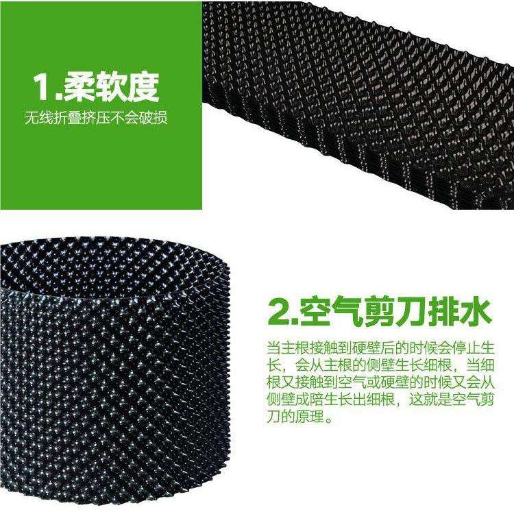 容器加厚围树板升级阻根板植树塑料代控根器育苗3排水花盆