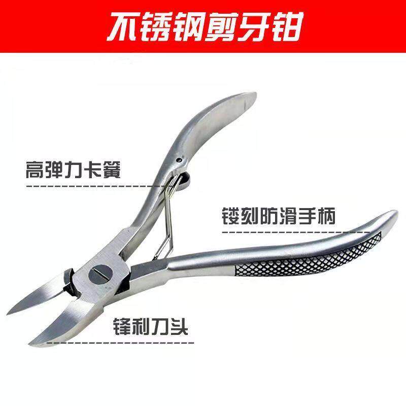 小猪剪牙钳仔猪断牙牙剪兽用猪用剪牙器仓鼠不锈钢兔子斜口齿剪子