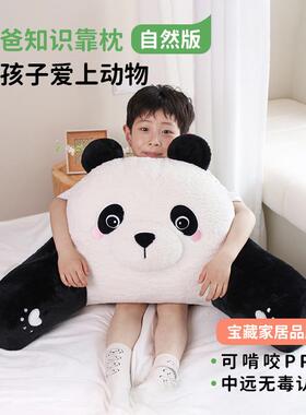 P66D大A类床靠KZ011头抱靠枕知识床上靠背客厅沙发枕护腰护颈飘窗