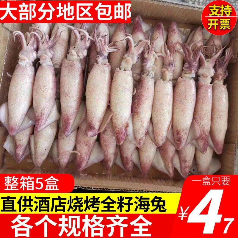 新鲜冷冻大海兔笔管鱼籽乌鱿鱼仔海捕急冻海鲜小鱿鱼墨鱼捞汁 5盒