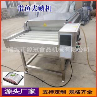 毛辊粽叶带鱼清洗脱鳞设备 带鱼去麟机不锈钢冻刀鱼除磷机器平行式