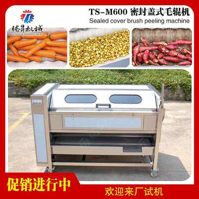 机械厂供应新款毛棍TS-M600清洗去皮机（带盖）