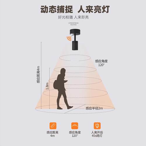 感381明感应射灯入户人体应光控3度8度1角5度小度一束聚装光小角
