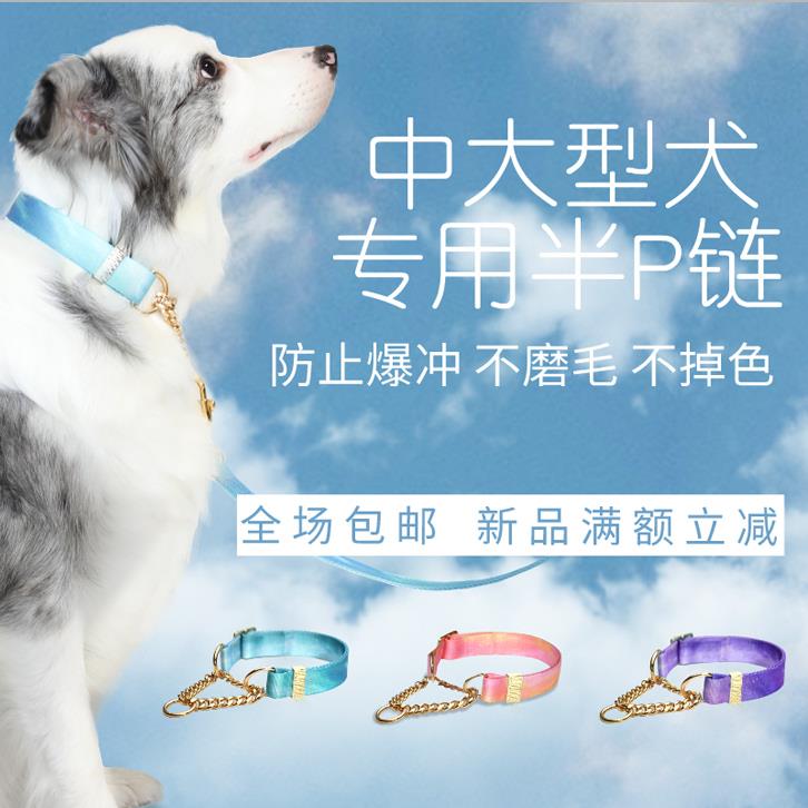 中大型犬专用半P链防夹毛防爆冲防掉色长短牵引绳狗炼宠物项圈