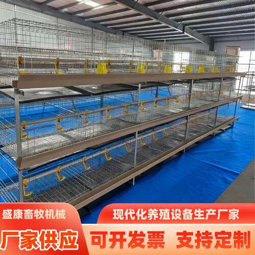 后镀锌多层叠式肉鸡笼养殖设备鸡笼子H型农场鸡舍带粪盆肉鸡笼子
