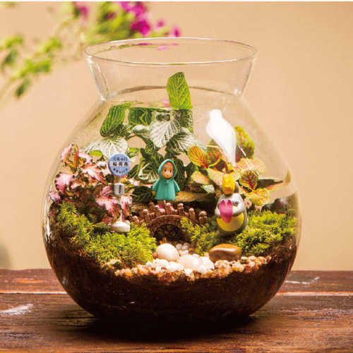 苔藓微景观 创意礼品摆件 绿植 苔藓瓶造景瓶 木塞带灯套装批发