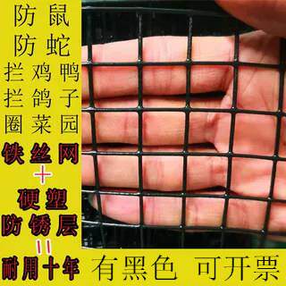 小孔铁丝网围栏养小鸡鸭鹅防鼠防蛇铁网防麻雀户外家用鱼塘钢丝网