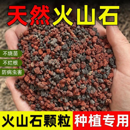 天然红火山岩颗粒多肉兰花用
