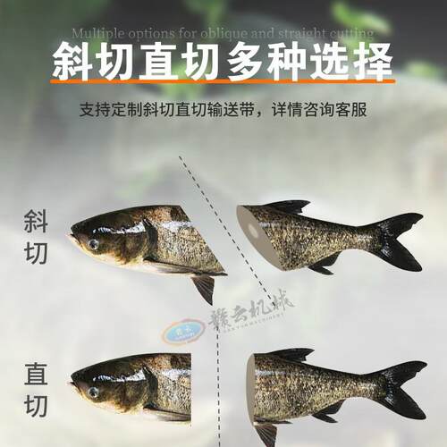 斜切鱼头机全自动鱼头斜切机花鲢切头机白鲢切头机鱼切头机