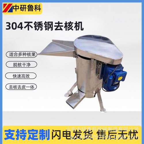 水果工业不锈钢去核机 多功能果肉粉碎设备 橄榄青梅桂圆脱核机