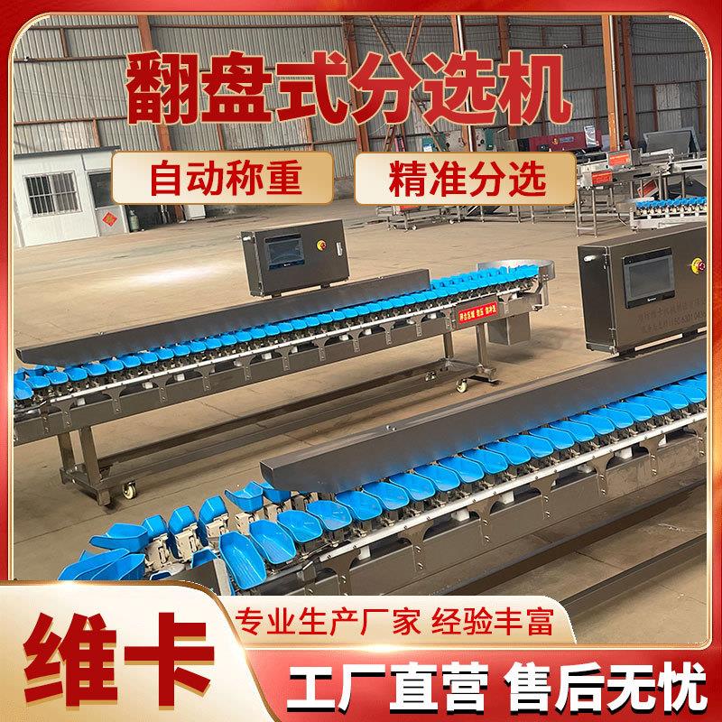 牡虾蛎重量分选机肉食品重量分机自动称重小龙分选选机