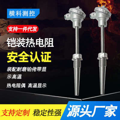 铠装铂热电阻PT100 温度传感变送器装配耐磨铂佬显示高温热电阻偶