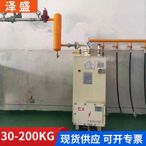 30-200Kg防爆型汽化炉LPG液化气转换器燃烧器中邦汽化炉设备