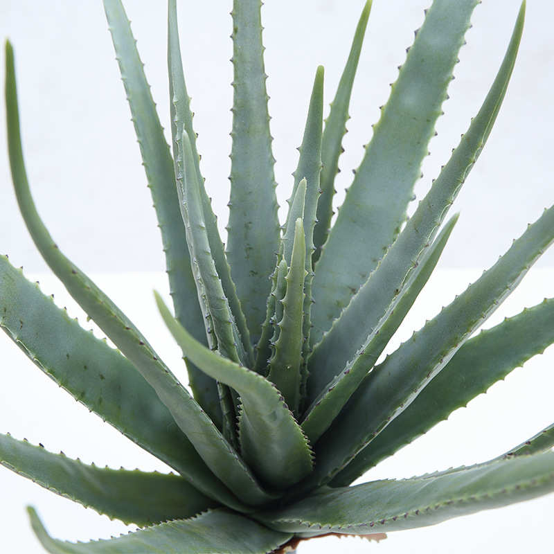 厂家批发人造芦荟盆栽摆件大型热带假花多肉植物手感仿真芦荟盆景