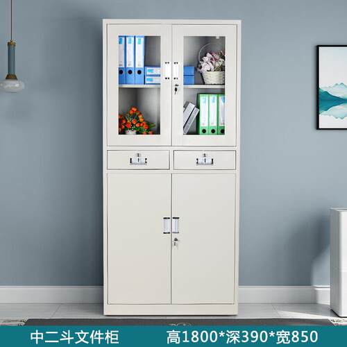 铁皮文件柜玻璃柜储物办公档案凭证柜置物柜储物柜收纳柜带锁