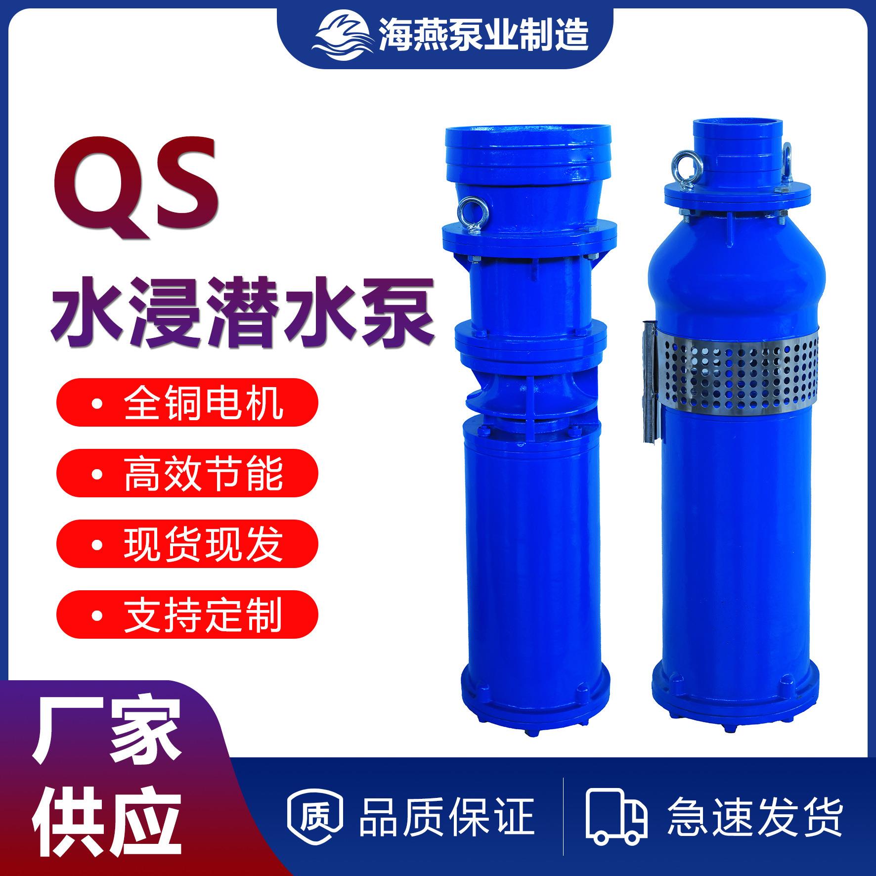 QS井用潜水泵公园景观喷泉泵QS系列铸铁水杯全铜电机水浸抽水泵