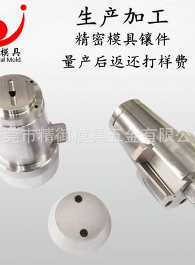 RRP压铸模精具芯密子镶模件精密镶针冲头顶杆精密模具配件