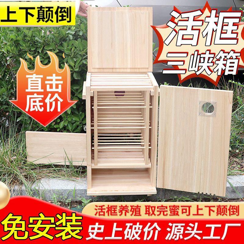 中蜂活框三峡蜂箱竖养颠倒框前开门土养蜂箱全套带巢框老式诱蜂桶