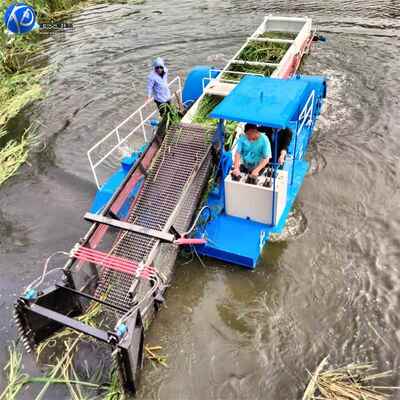 KD-100-2全自动水收割 船北浮萍水浮莲草打捞船 河面芦苇河蒲草清