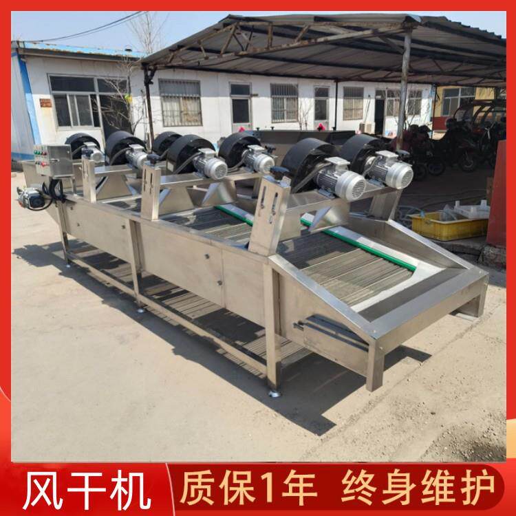 袋装饮品清洗风干机网带式李子清洗风干线蓝莓风干设备