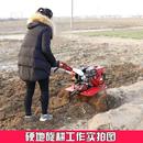 专业平地爬行开沟 山东耕地四驱红薯四冲程微耕机旋耕机松土回填