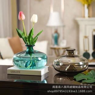 饰 ins风一枝花玻璃花瓶摆件水养鲜花大肚子圆形扁客厅插花花器装