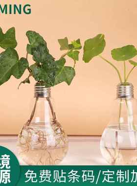 玻璃灯泡花瓶吊瓶悬挂绿植水培玻璃瓶客厅时尚摆件跨境电商货源定
