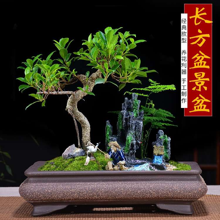 宜兴紫砂长方形花盆盆景盆花卉盆栽绿植陶瓷花盆马槽假山盆