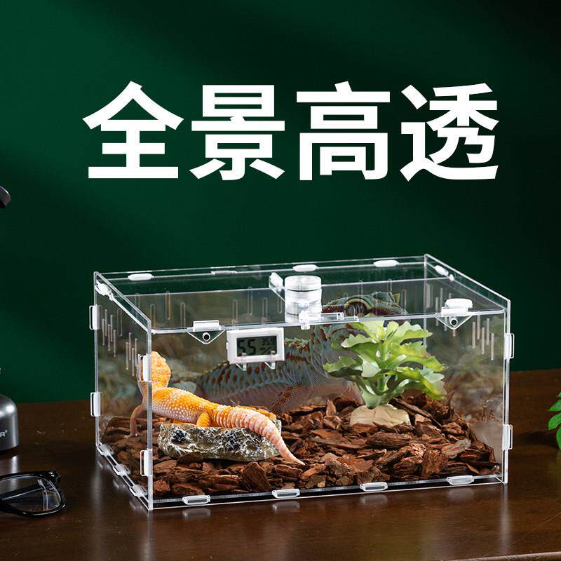 豹纹守宫蜥蜴居家饲养盒套装爬宠造景箱压克力大号观赏生态盒套餐