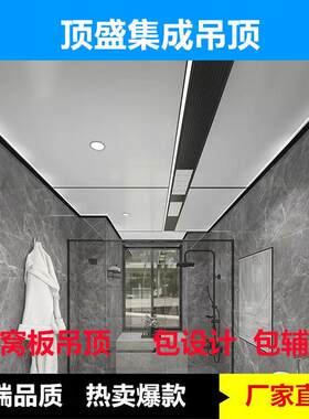 蜂窝板吊顶集成吊顶铝扣大板客餐厅厨卫铝大板蜂窝现代简约天花板