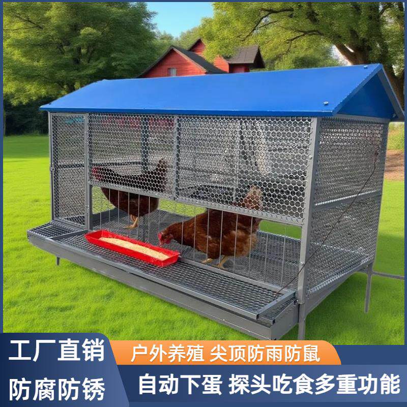 尖顶养殖笼鸡鸭兔笼自动收蛋防鼠蛇不生锈户外养鸡棚养鸡笼子家用