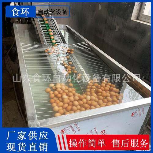 食环咸鸭蛋清洗机高品质蛋品清洗机咸鸭蛋设备洗蛋机价格