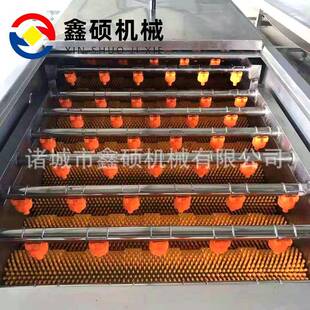 芋头马铃薯清洗去皮机多功能根茎类毛辊清洗机设备胡萝卜去泥机