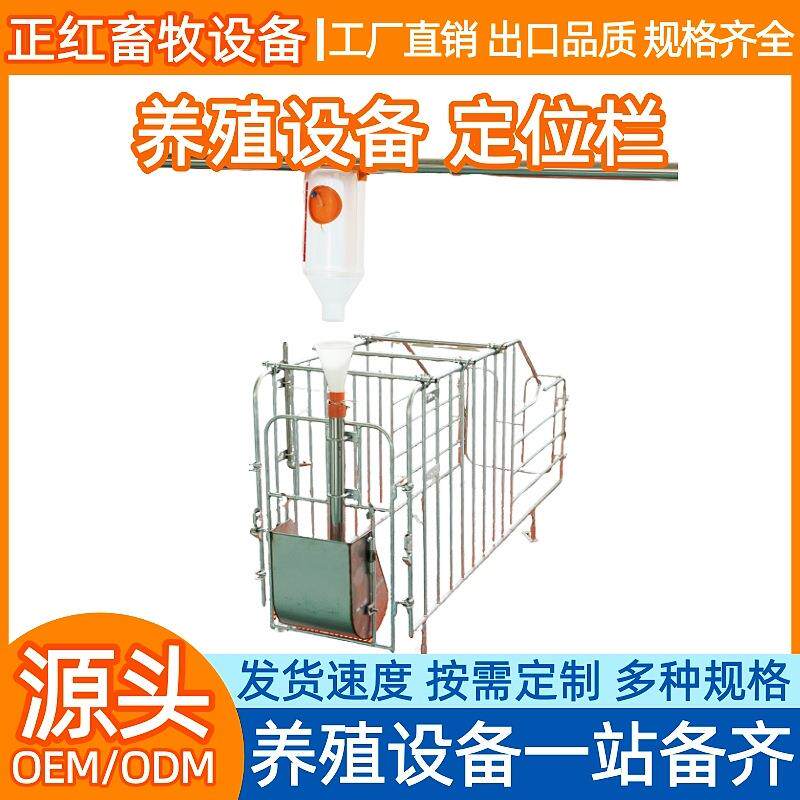 正红畜牧设备母猪定位栏育肥定位栏落地式定位栏猪用限位栏