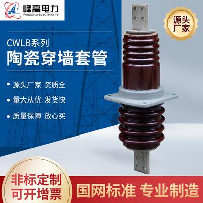 厂家供应高压穿墙套管CWLB户外高压陶瓷穿墙套管规格齐全