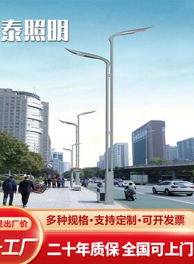 翔翼路灯户外防水led路灯厂家直销6米8米10米12米市电路灯