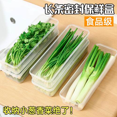 Herb and Vegetable Freshness Box for Refrigerator Storage -