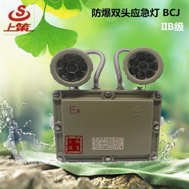 上海飞策LED防爆双头紧急照明灯 照明紧急照明灯 BCJ/ IIB级 消防