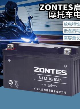 升仕ZT310-X1-X2-T1-T2-R1-R2摩托车电瓶蓄电池ZONTES启典KD150-U