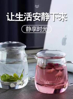 煮茶杯耐热玻璃泡茶杯套杯个人用带把手花茶杯带漏盖茶水分离杯