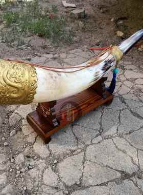 蒙古族酒杯牛角杯天然黄牛角结盟杯舞台客厅工艺品装饰品道具摆件