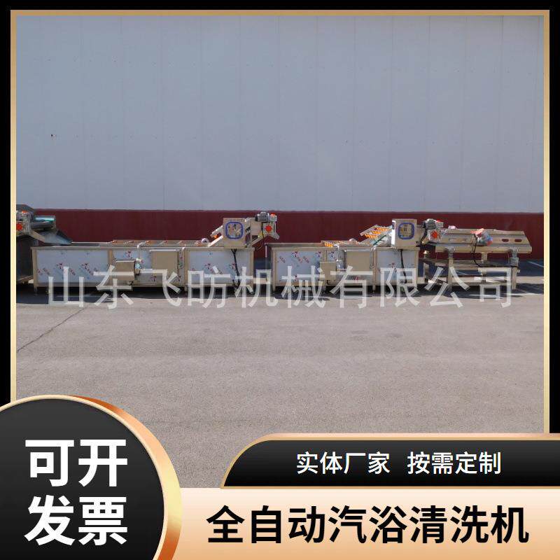 农残龙须菜洗菜泥沙汽浴气泡去清洗机去白菜空心菜设备清洗机