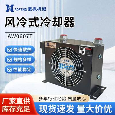 风冷散热器AW0607T液压站风冷式油冷却器马达式工业风油温散热器