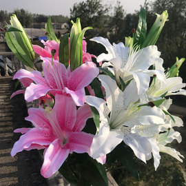 假花百合仿真花束单支客厅，电视柜餐桌装饰品，摆设花艺摆件花瓶插花