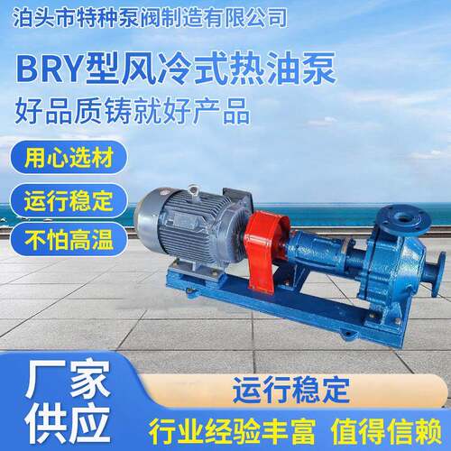 BRY型风冷式导热油泵高温热油泵油脂离心油泵单悬臂式自然散热油