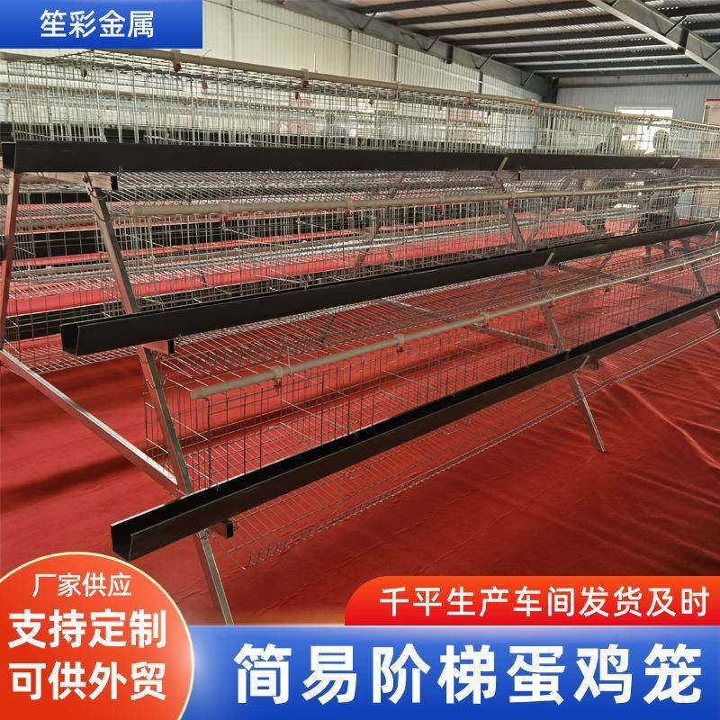 简易蛋鸡笼养殖鸡笼三层四门阶梯鸡笼家禽鸡舍养鸡养殖设备鸡笼