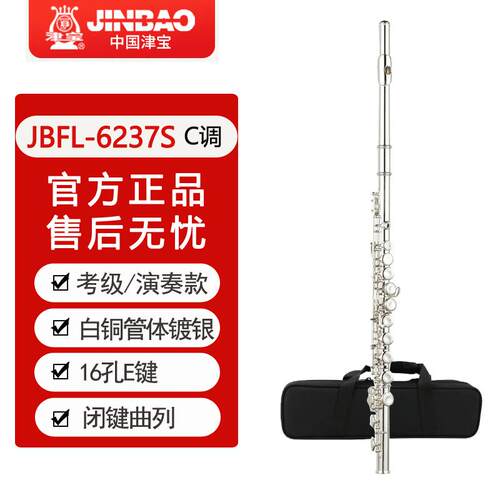 高档金宝长笛初学门者，儿童学，成人，小，入级考试，16孔，C调